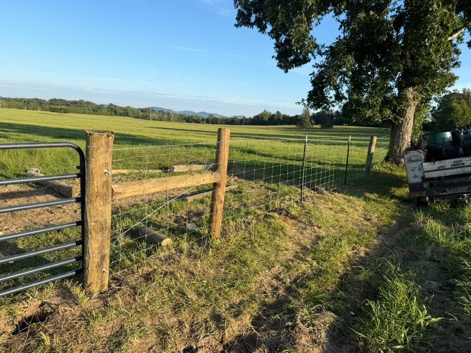 Barbed wire