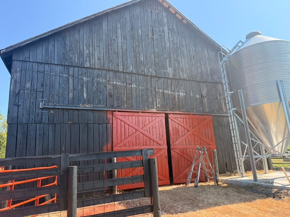 Barn paint